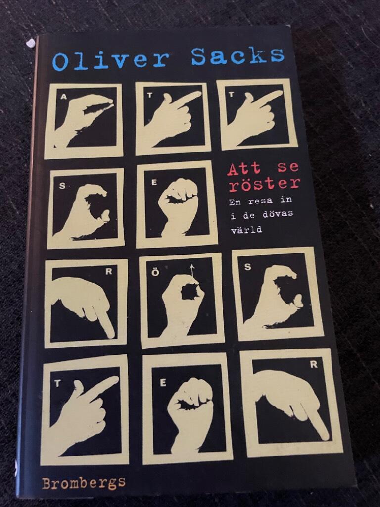 Att se r&ouml;ster : en resa in i de d&ouml;vas v&auml;rld