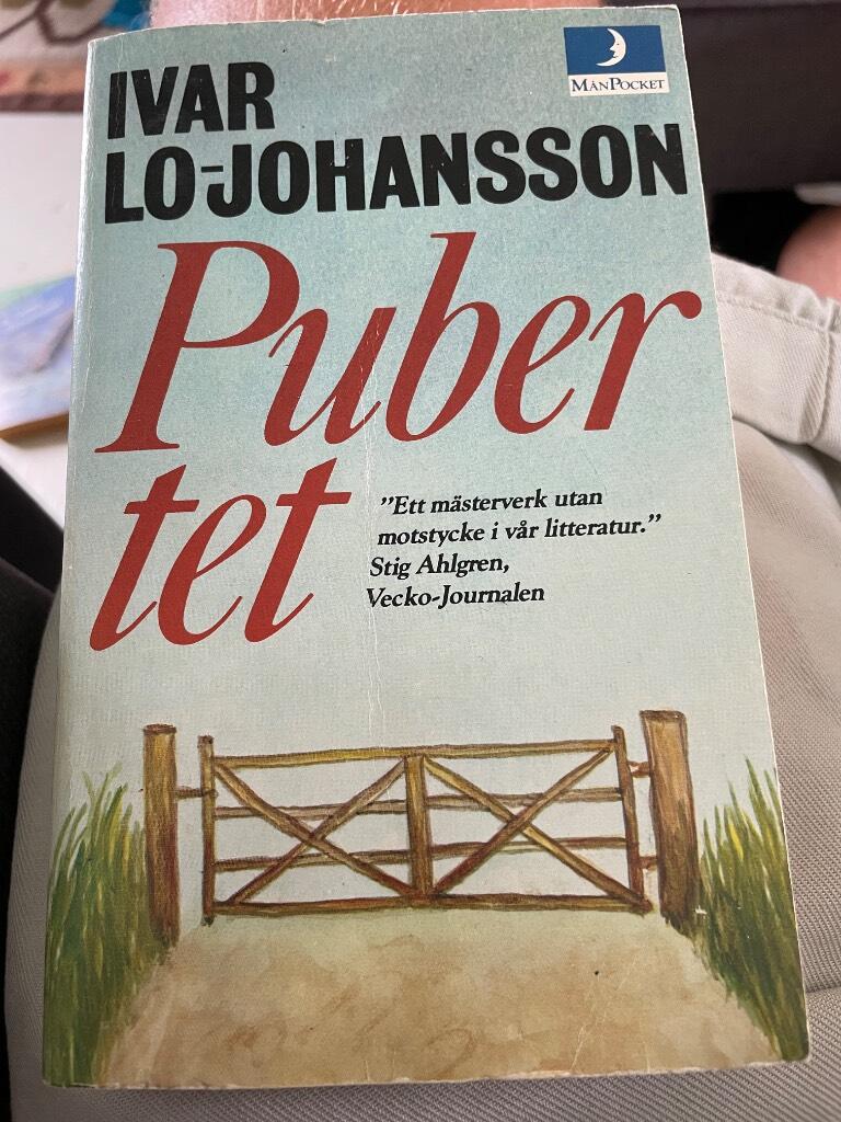 Pubertet