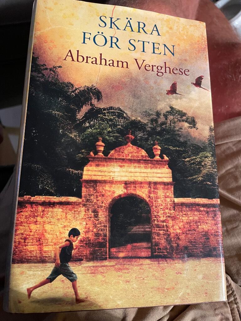 Sk&auml;ra f&ouml;r sten : roman