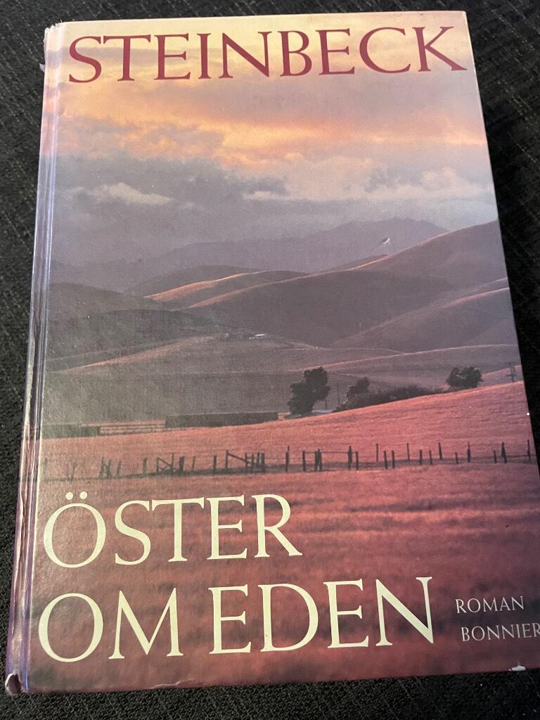 Öster om Eden : [roman]