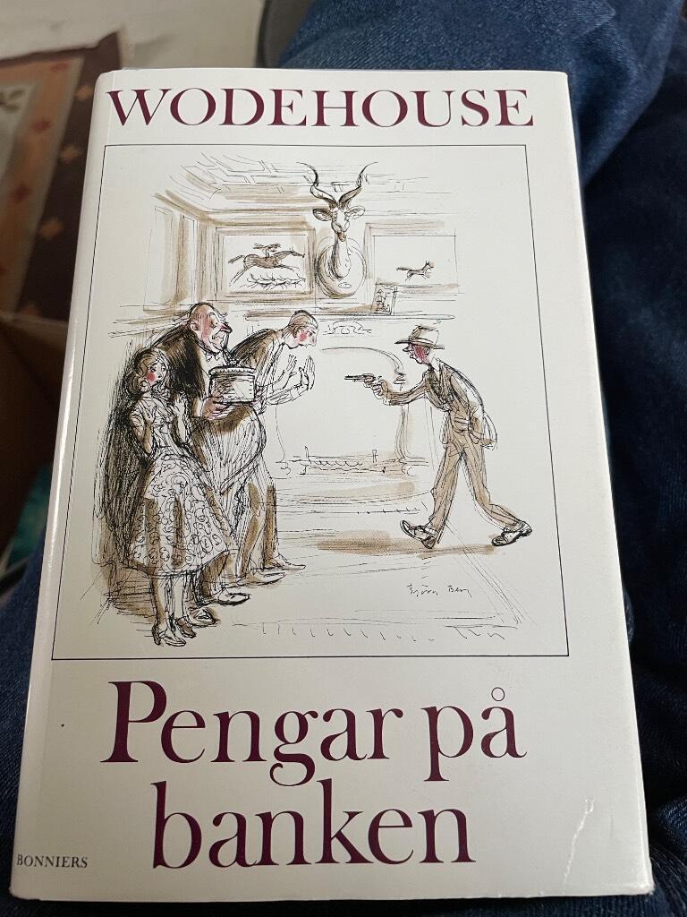 Pengar p&aring; banken