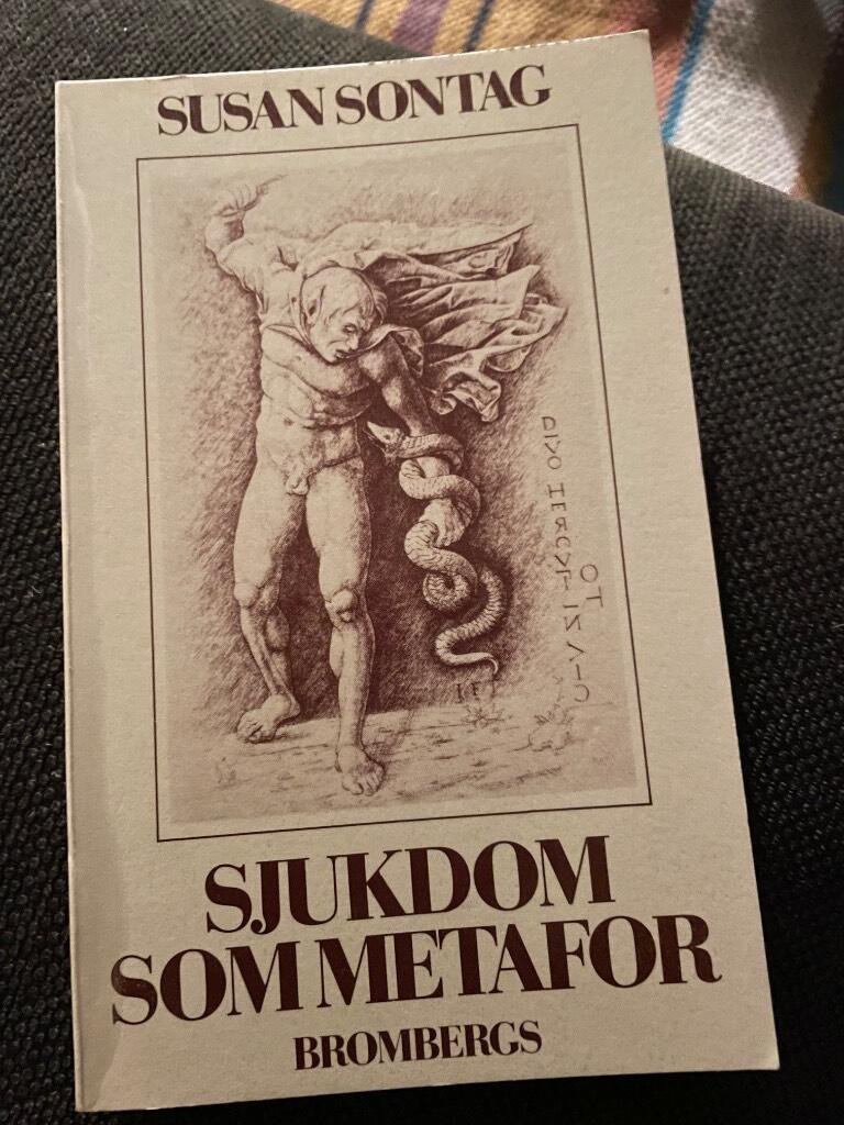 Sjukdom som metafor