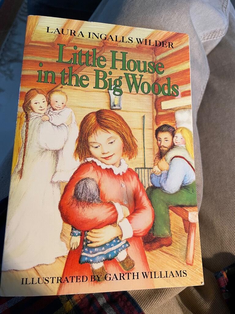 Little house in the big woods