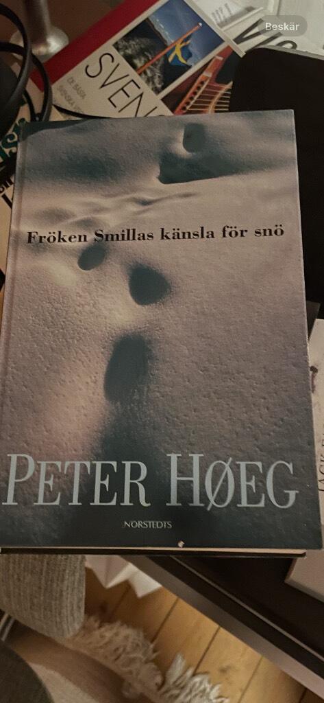 Fröken Smillas känsla för snö