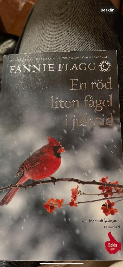 En r&ouml;d liten f&aring;gel i juletid