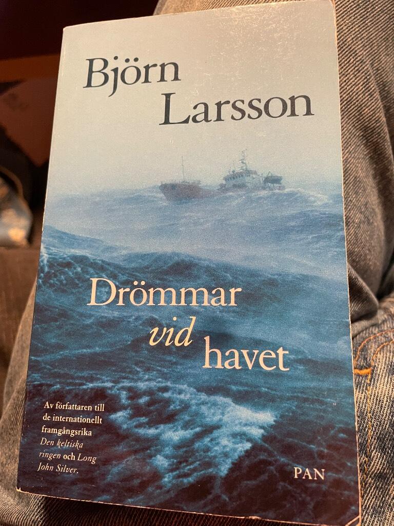 Dr&ouml;mmar vid havet : roman