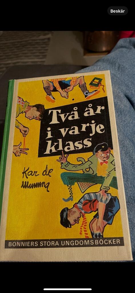 Tv&aring; &aring;r i varje klass : en elak skolgosses minnen