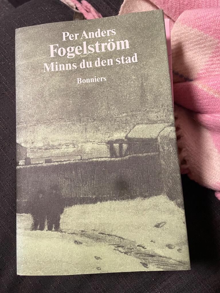 Minns du den stad : roman