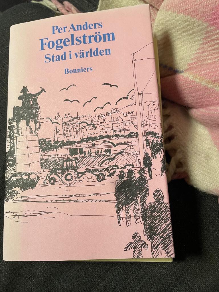 Stad i v&auml;rlden : roman