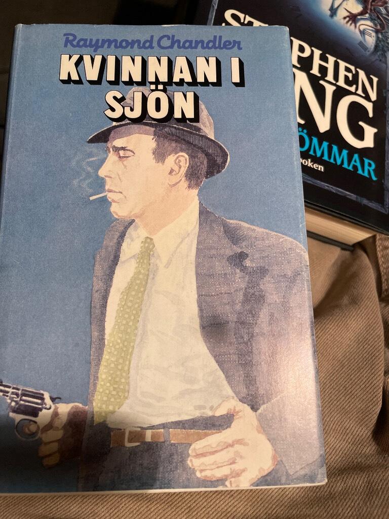 Kvinnan i sj&ouml;n