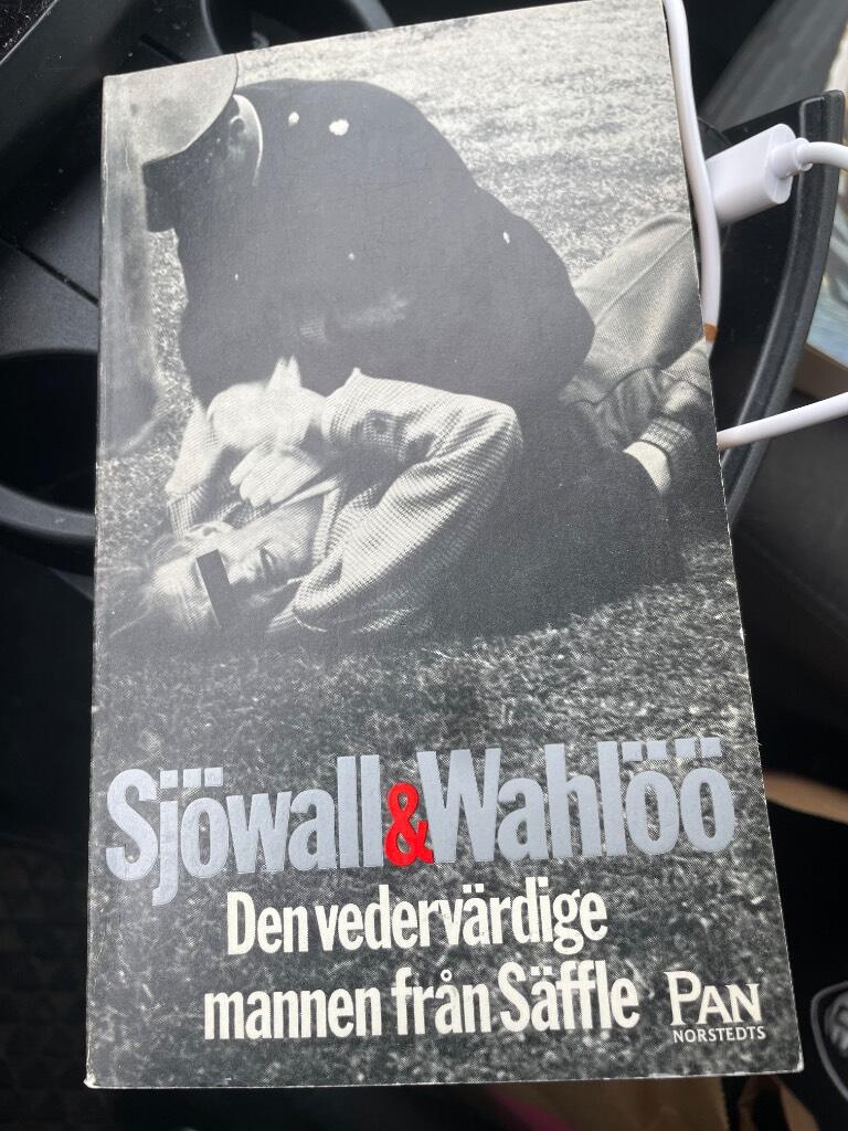 Den vederv&auml;rdige mannen fr&aring;n S&auml;ffle - roman om ett brott