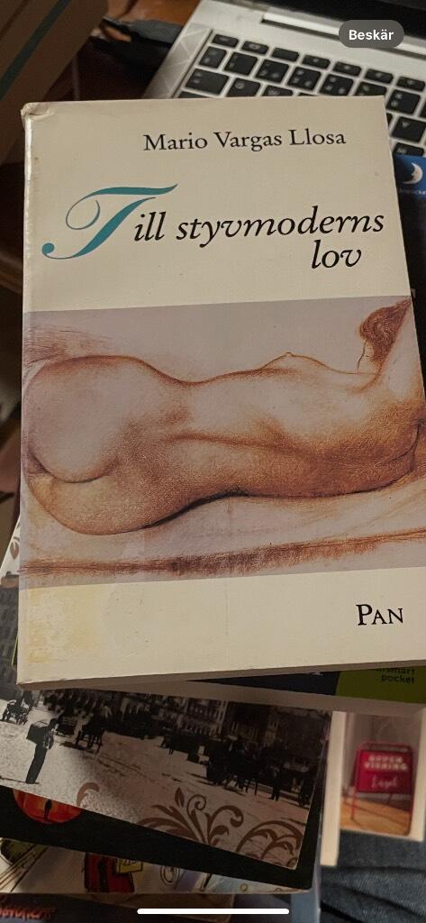 Till styvmoderns lov
