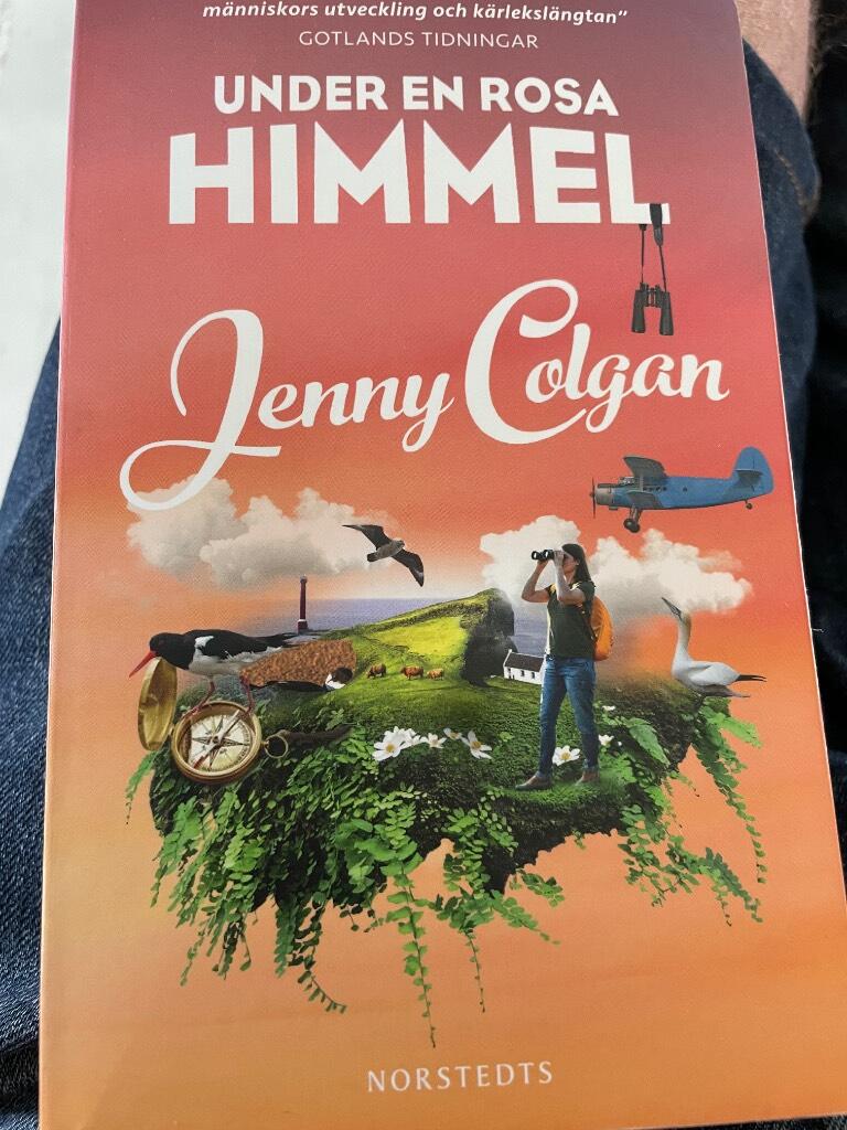 Under en rosa himmel