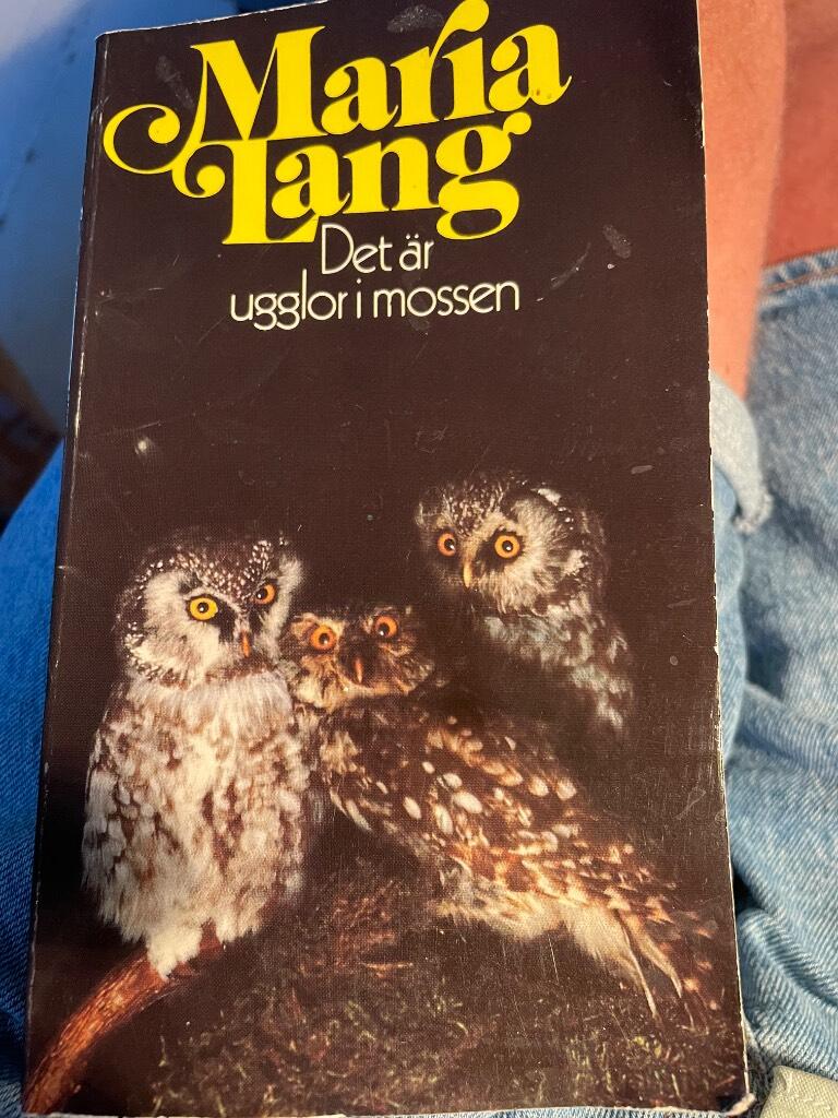 Det &auml;r ugglor i mossen