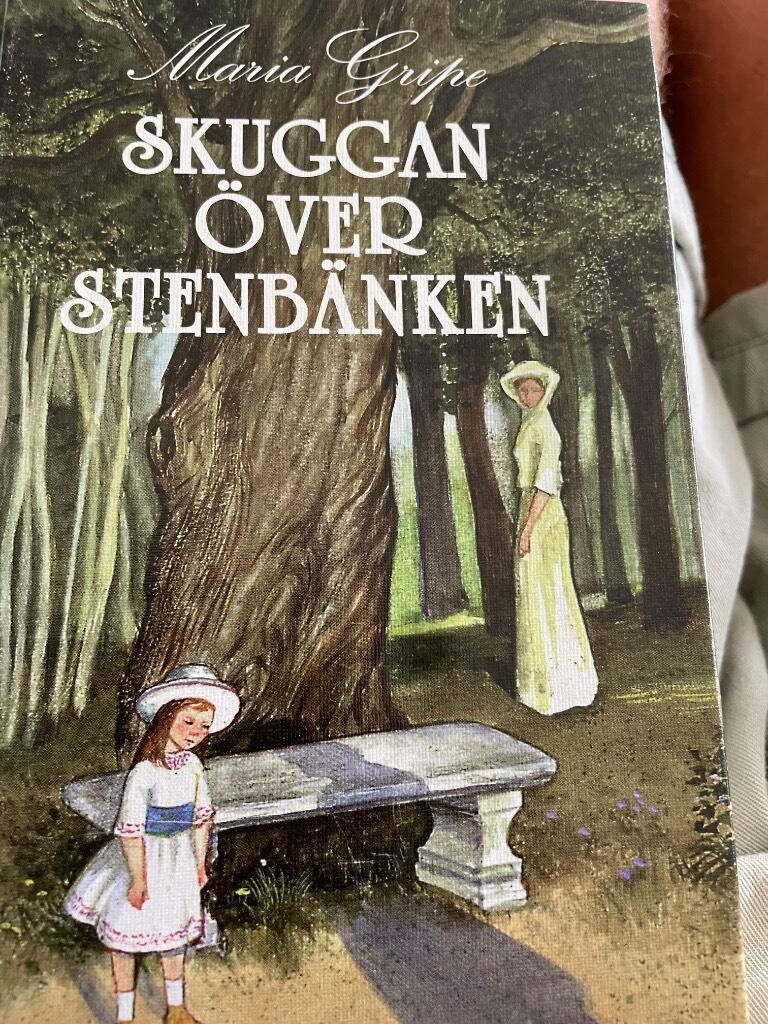 Skuggan &ouml;ver stenb&auml;nken