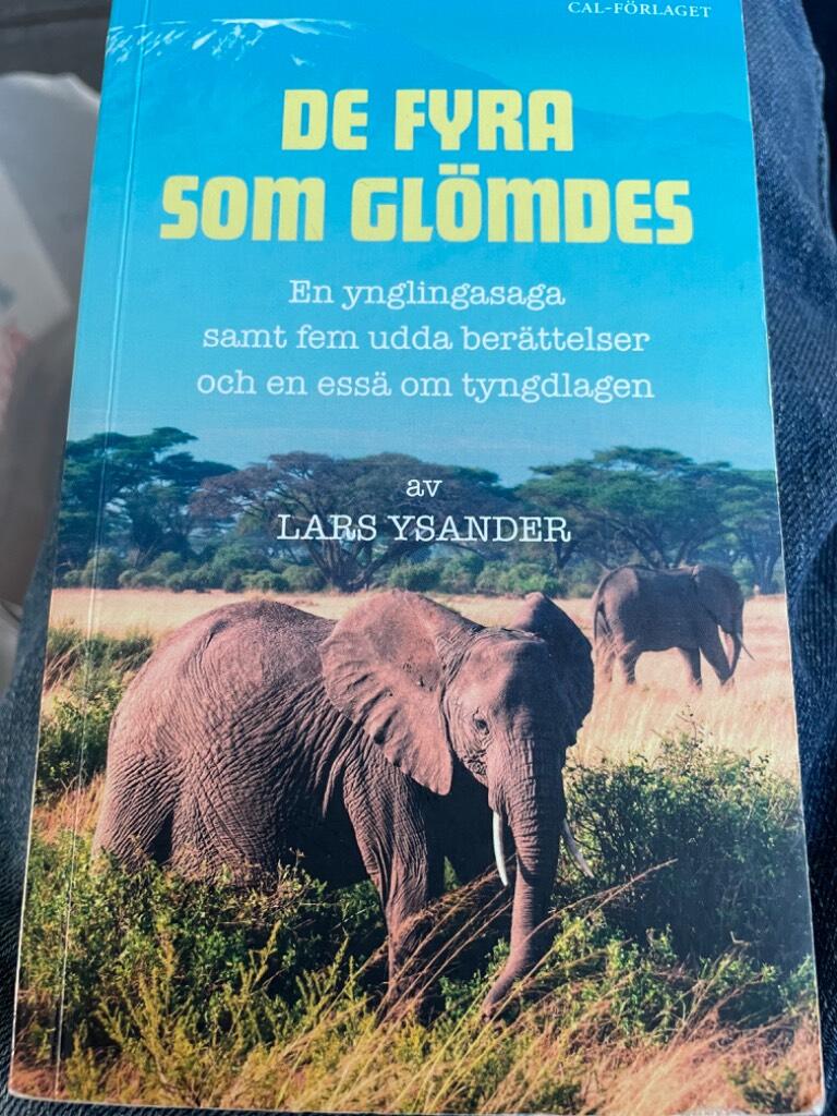 De fyra som gl&ouml;mdes : en ynglingasaga samt fem udda ber&auml;ttelser och en ess&auml; om tyngdlagen