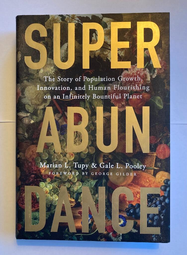 Superabundance - the story of population growth, innovation, and human flourishing on an infinitely bountiful planet