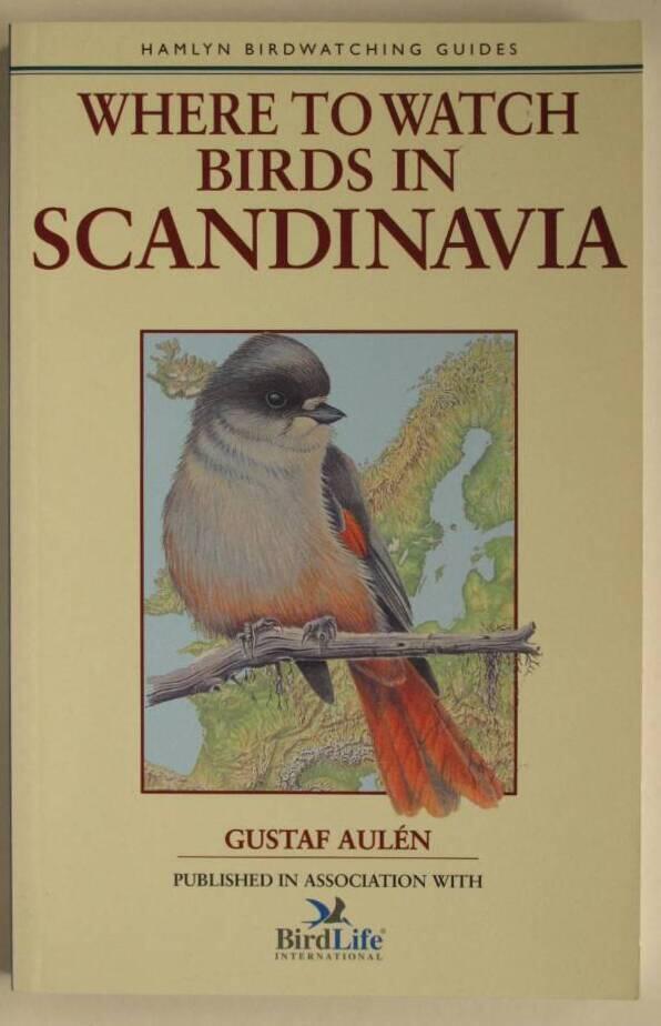 Where to watch birds in Scandinavia