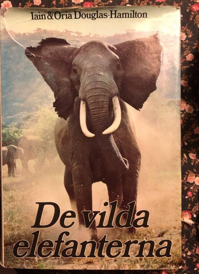 De vilda elefanterna