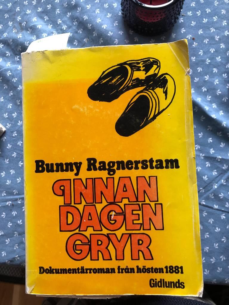 Innan dagen gryr : dokument&auml;rroman fr&aring;n h&ouml;sten 1881