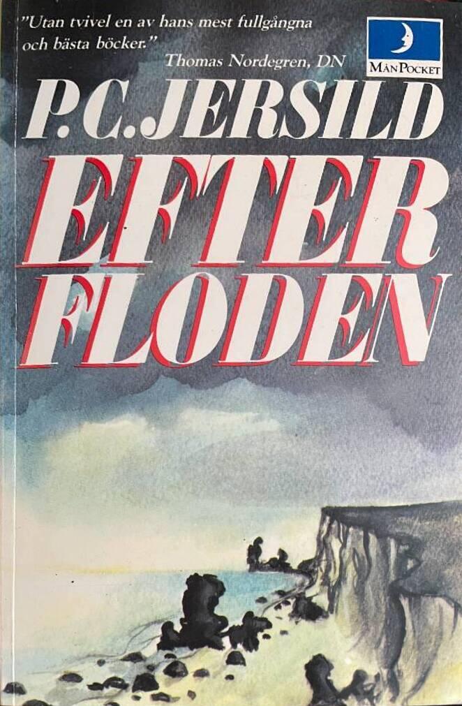 Efter floden : roman