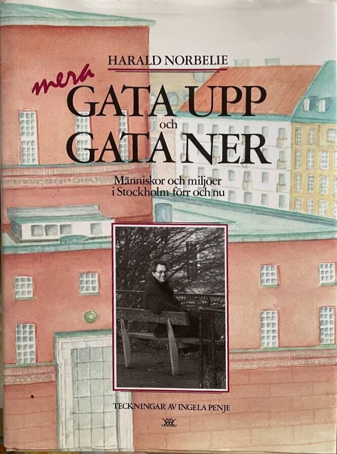 Mera gata upp och gata ner - m&auml;nniskor och milj&ouml;er i Stockholm f&ouml;rr och nu