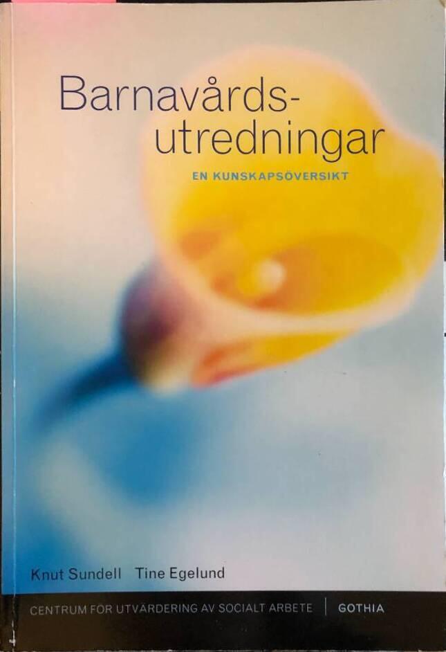 Barnav&aring;rdsutredningar - en kunskaps&ouml;versikt