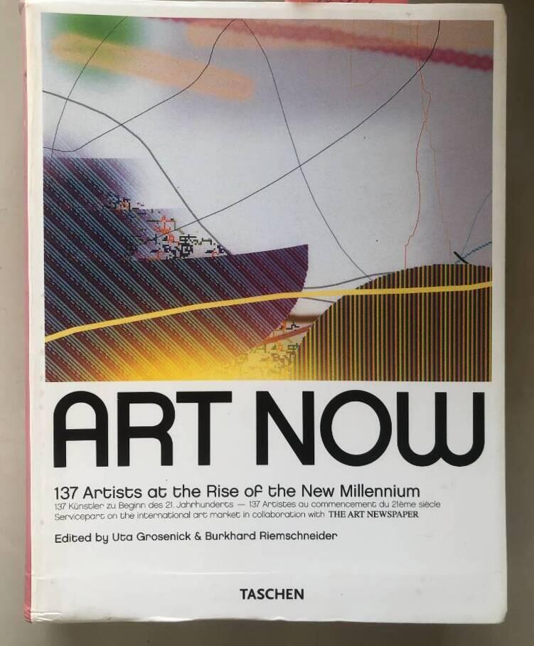 Art now - 137 artists at the rise of the new millennium