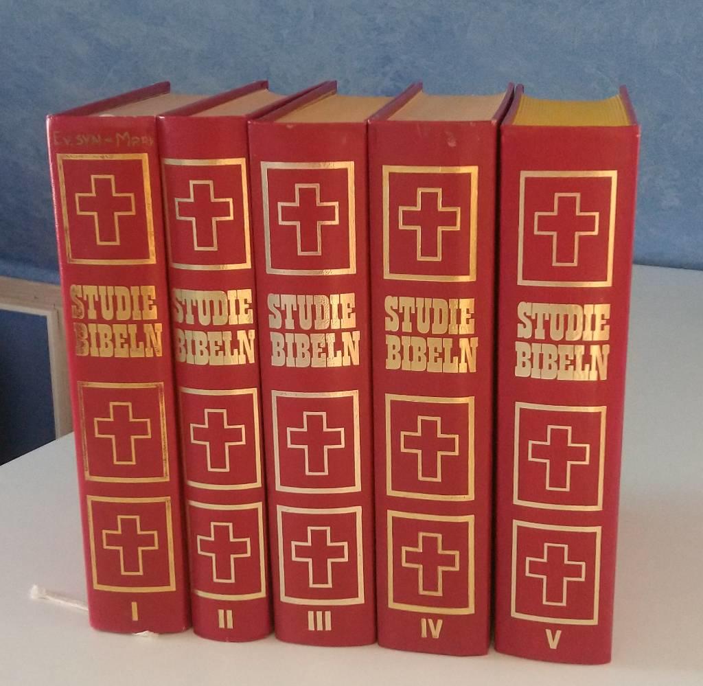 Studiebibeln : Nya testamentet