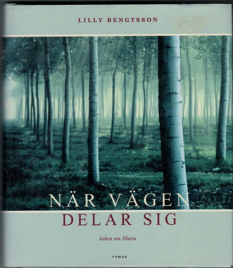 När vägen delar sig : boken om Maria : [roman]