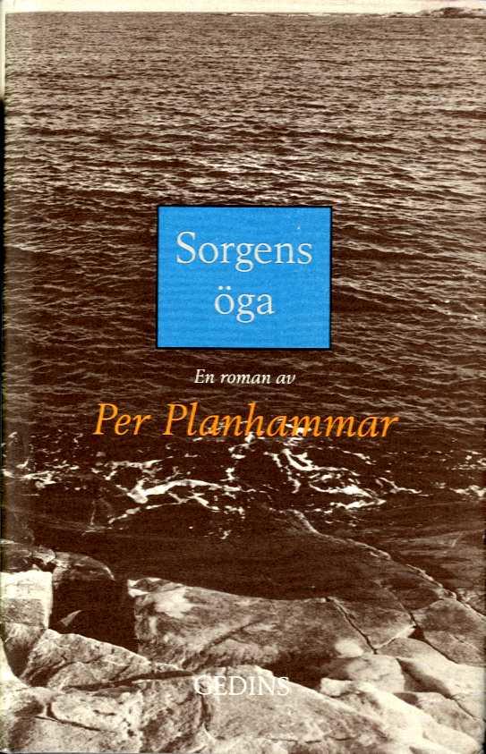 Sorgens &ouml;ga : en roman