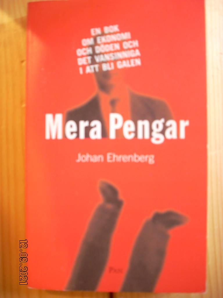 Mera pengar : en bok om ekonomi och d&ouml;den och det vansinniga i att bli galen