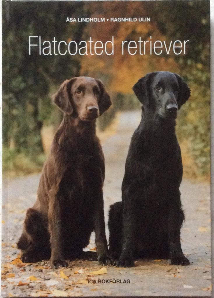 Flatcoated retriever