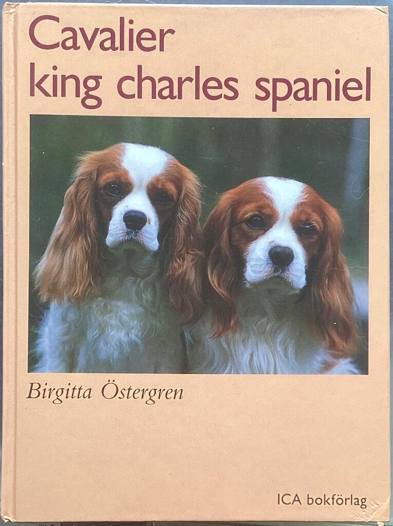 Cavalier King Charles spaniel