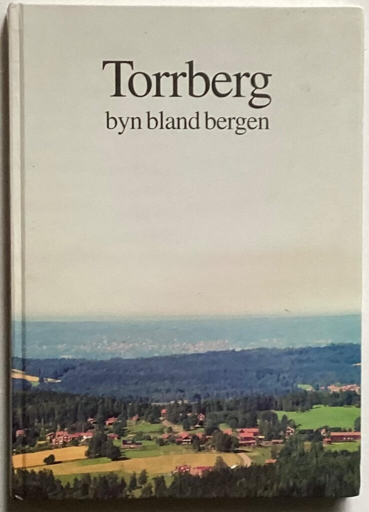 Torrberg : byn bland bergen