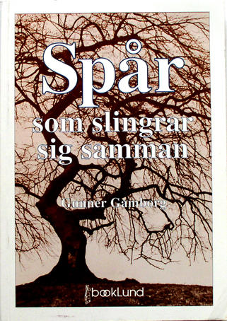 Sp&aring;r som slingrar sig samman : aktivitetsproblem & arbetsterapi inom psykiatri