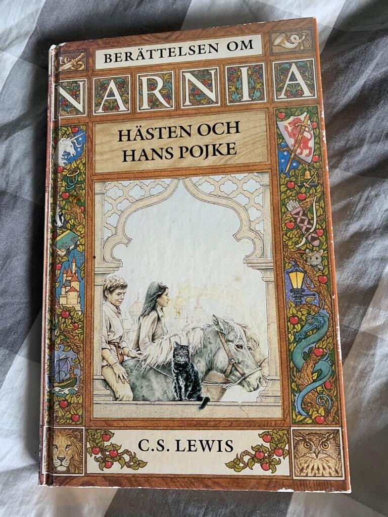 Hästen och hans pojke