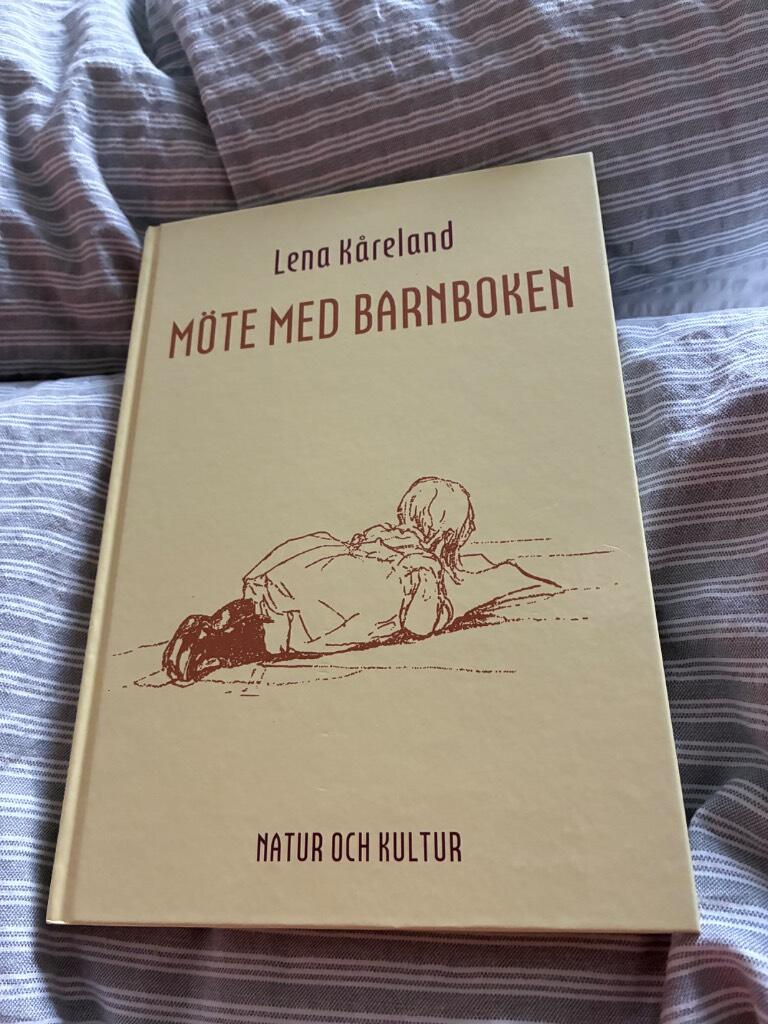 M&ouml;te med barnboken