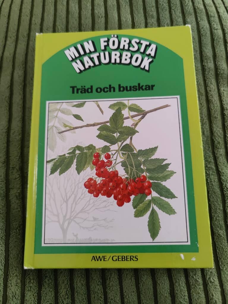 Tr&auml;d och buskar