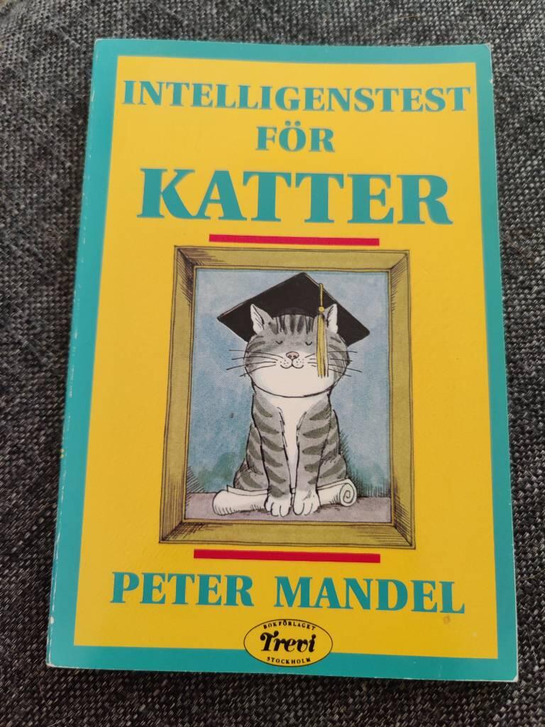 Intelligenstest f katte