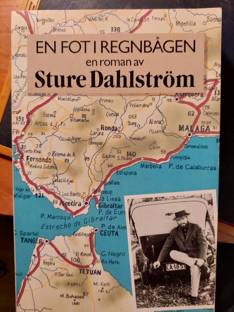 En fot i regnbågen : [en roman]