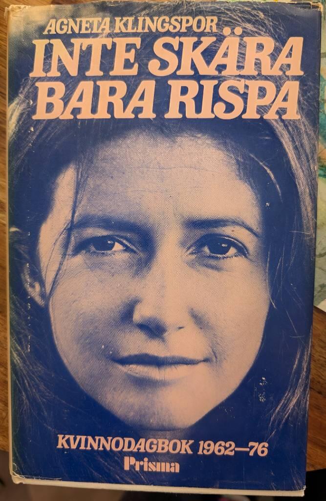 Inte skära bara rispa : kvinnodagbok 1962-76