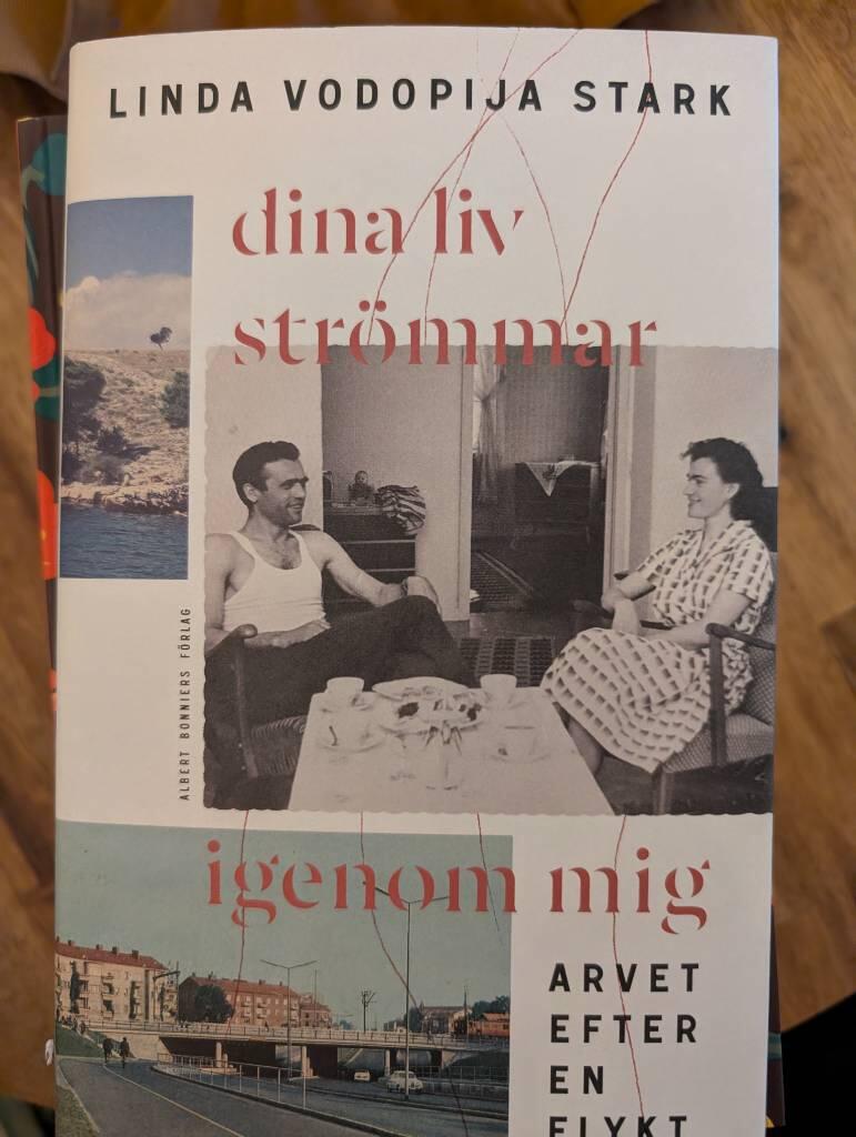 Dina liv str&ouml;mmar igenom mig - arvet efter en flykt