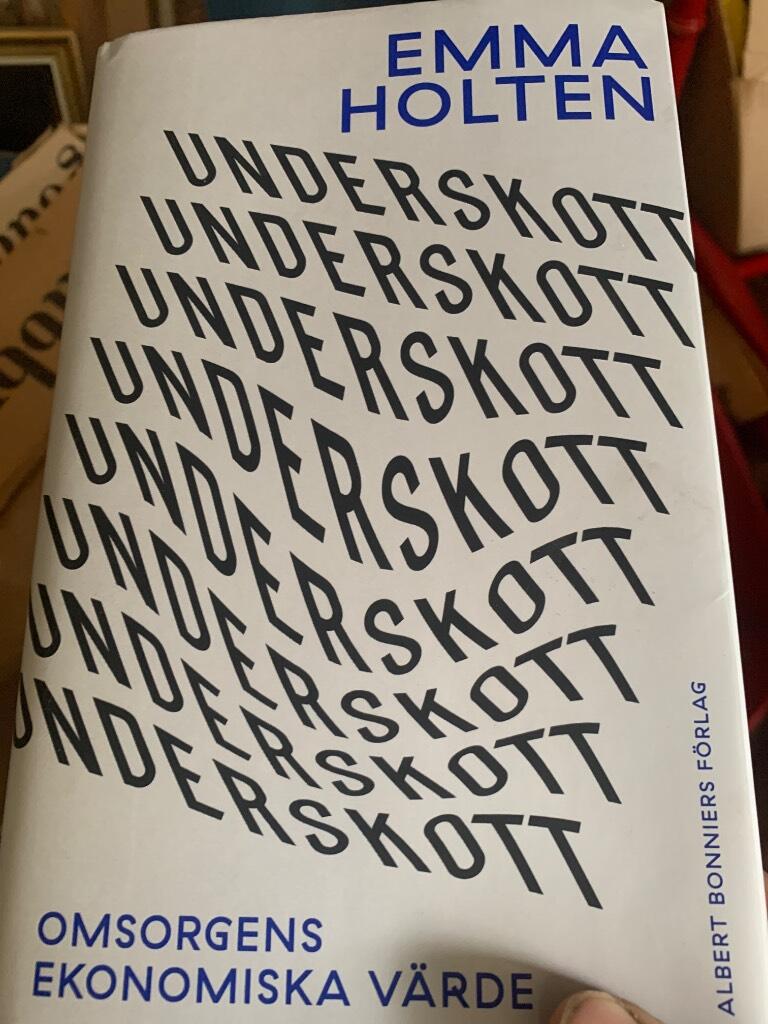 Underskott : omsorgens ekonomiska v&auml;rde