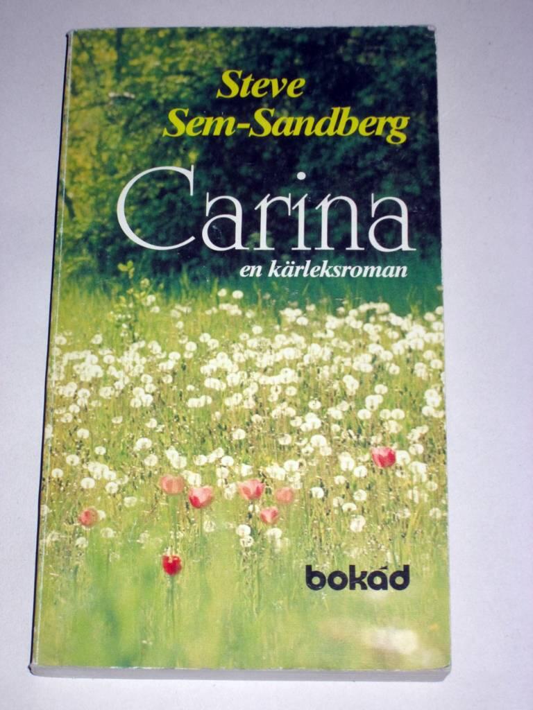 Carina : en k&auml;rleksroman