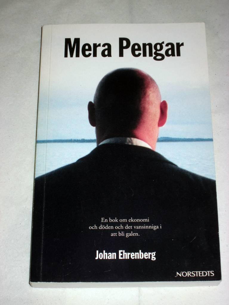 Mera pengar : en bok om ekonomi och döden och det vansinniga i att bli galen