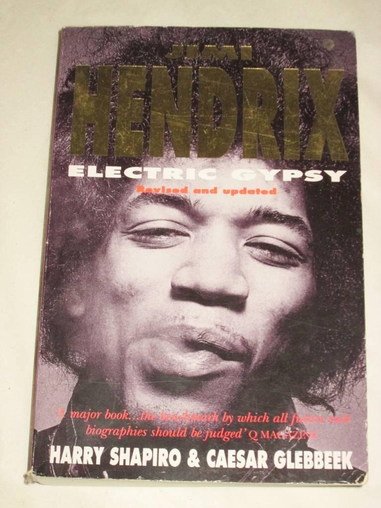 Jimi Hendrix - electric gypsy