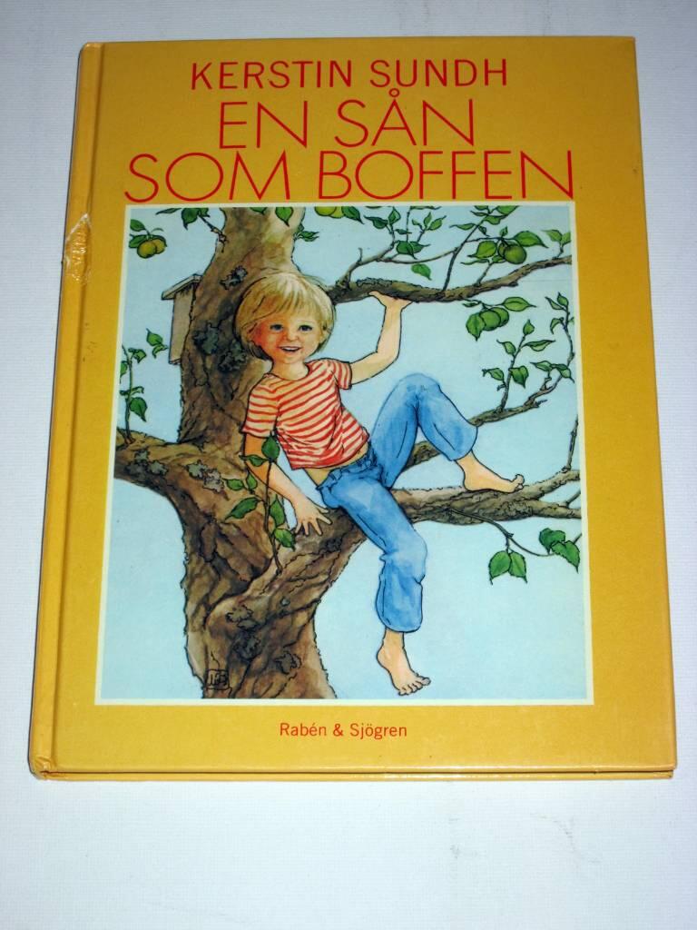 En s&aring;n som boffen