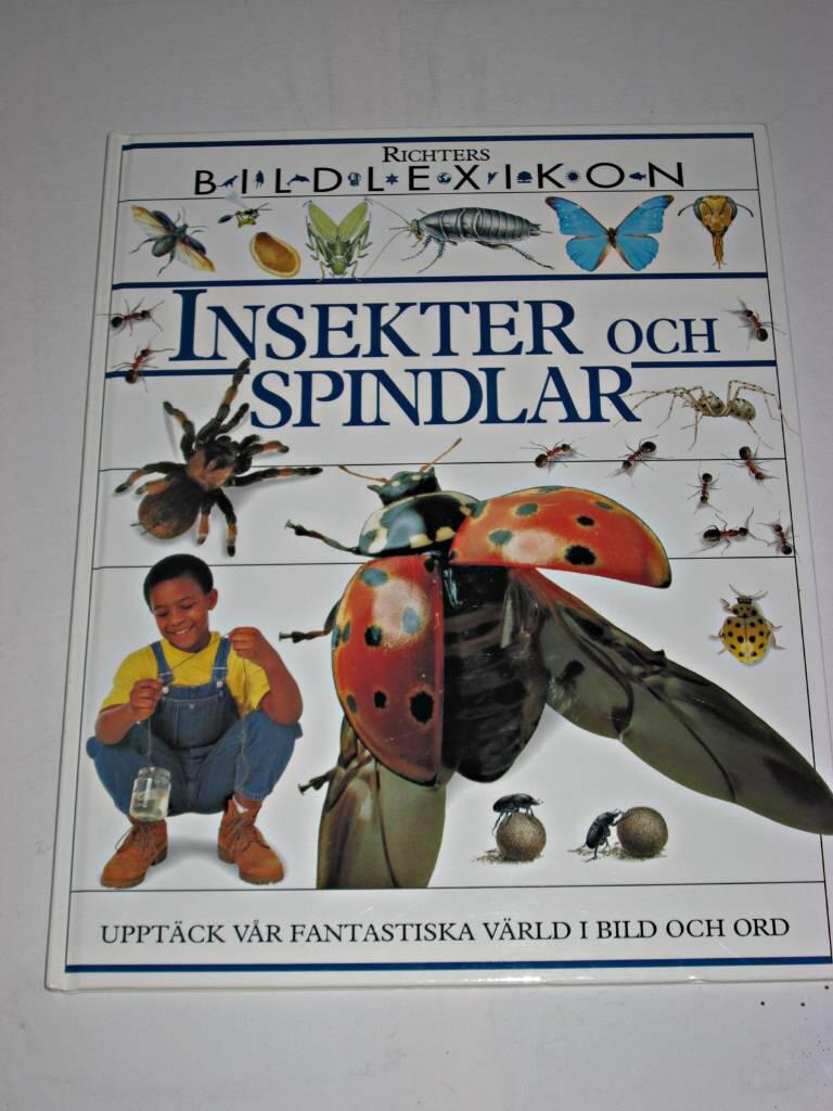 Insekter och spindlar