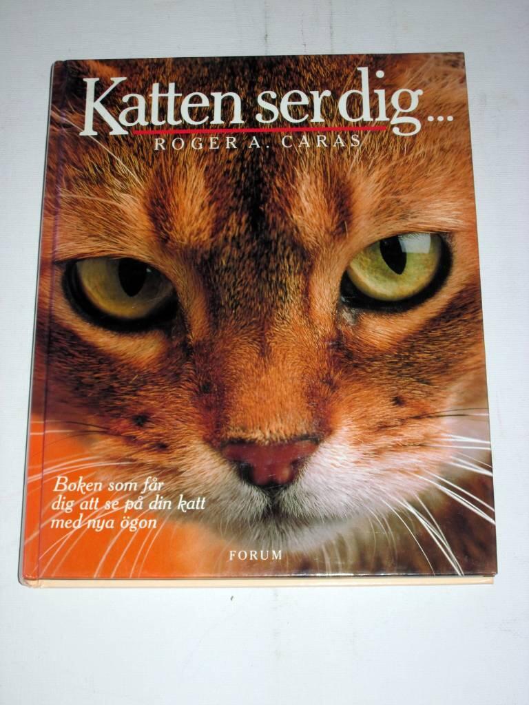 Katten ser dig-